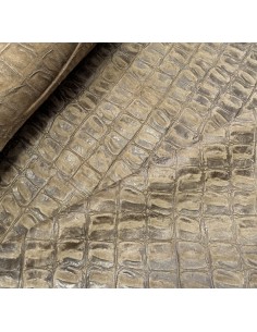 ΔΕΡΜΑ CROCO JURASSIC...