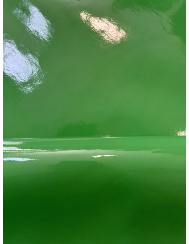 SHINY SYNTHETIC LEATHER GREEN