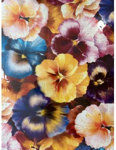 ΖΕΛΑΤΙΝΗ ΜΕ ΛΟΥΛΟΥΔΙΑ